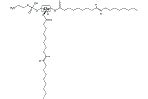 DOPEとは何？ わかりやすく解説 Weblio辞書.
